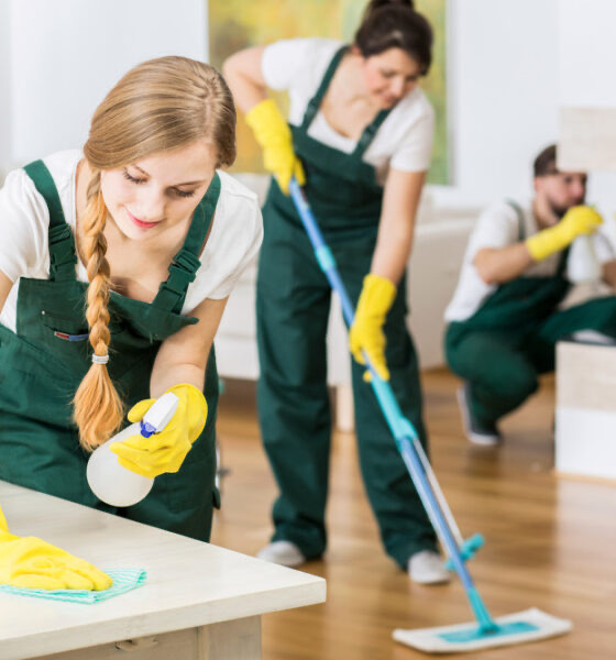 USA Cleaning Group Logo