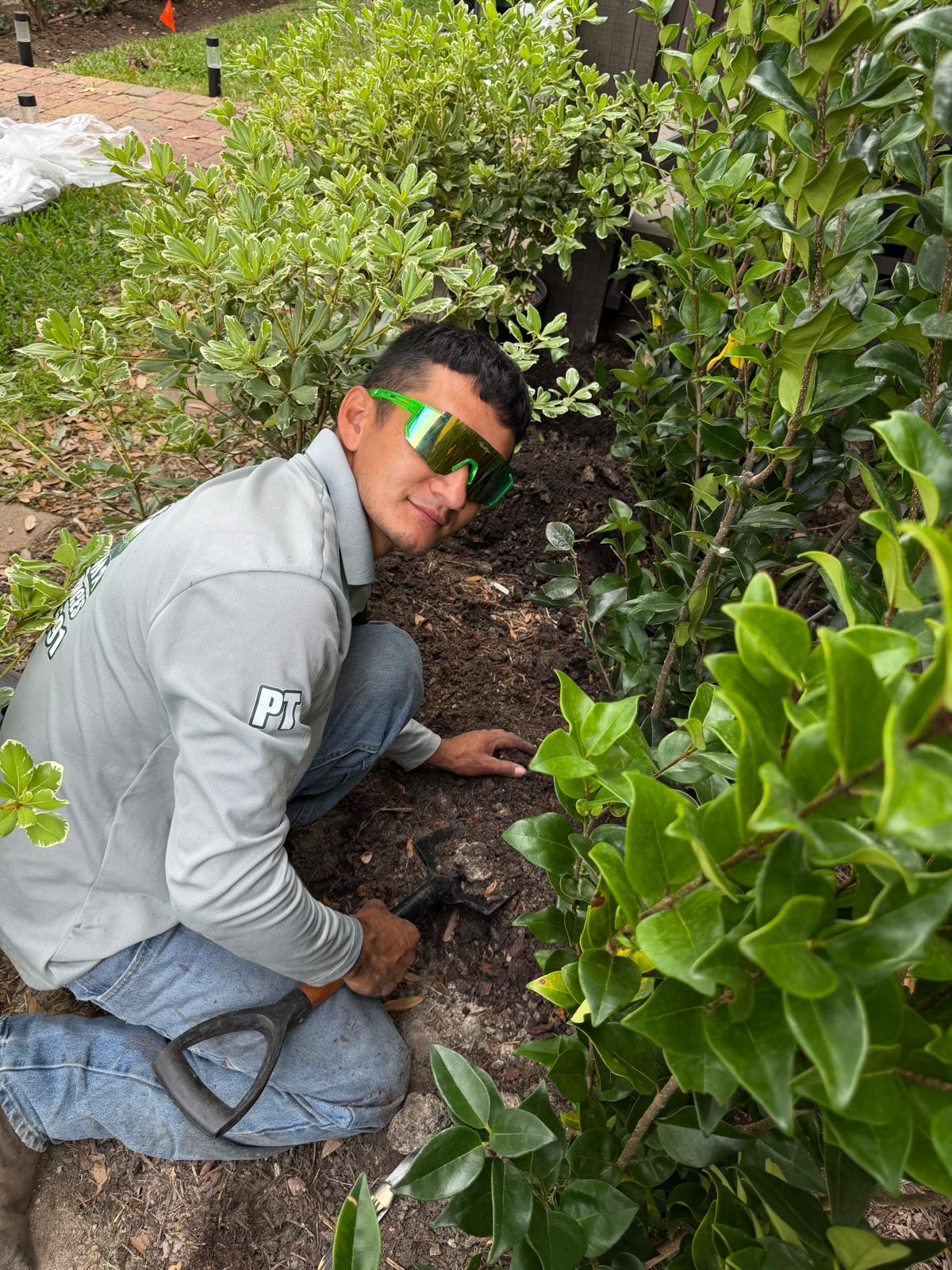 Patepluma Tree & Outdoor Services Logo