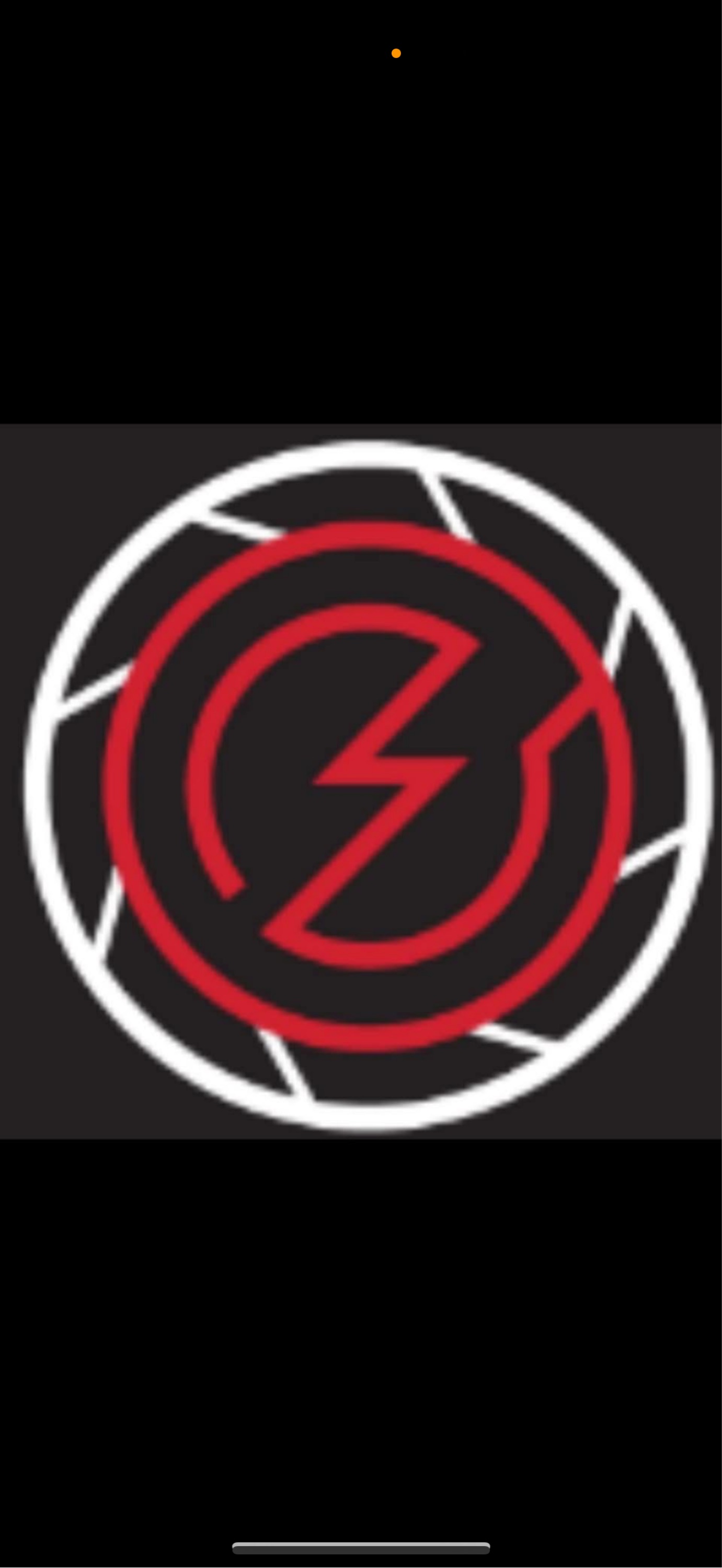 Electrical & Security Solutions, LLC Logo