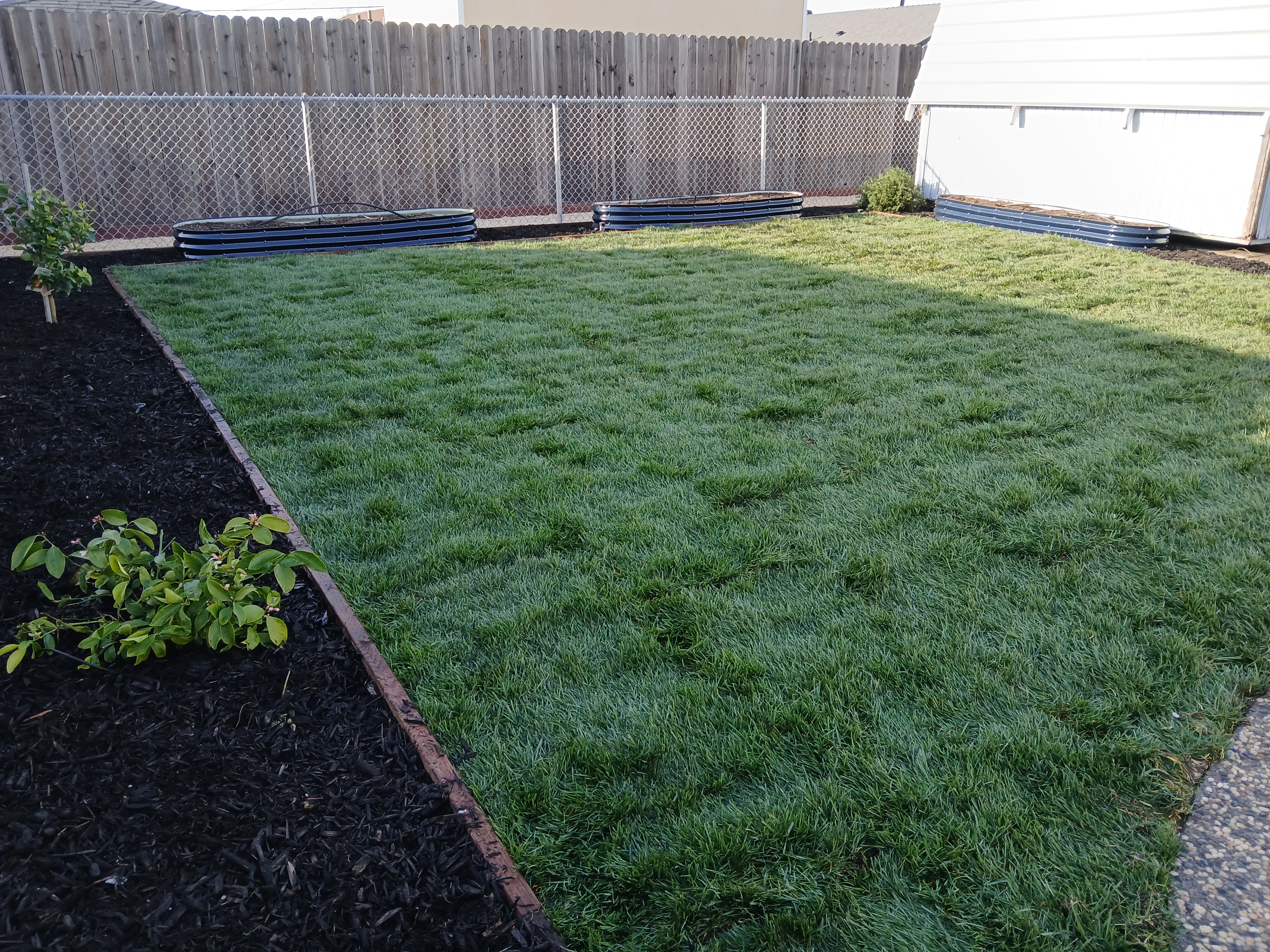 Landscaping with Elias Logo