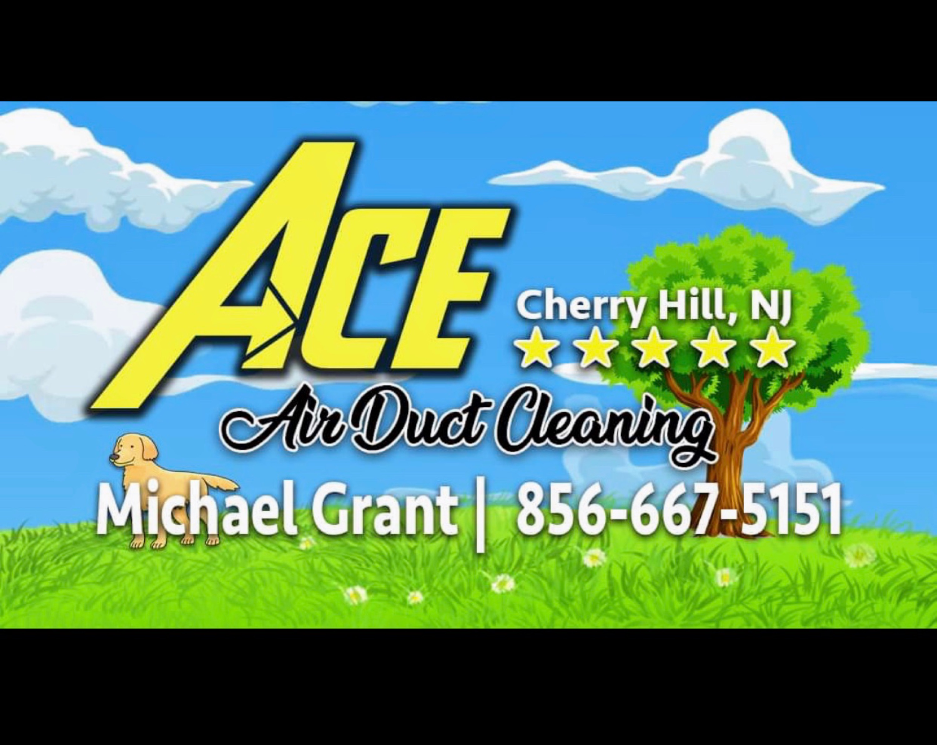 Ace Duct Cleaning Logo