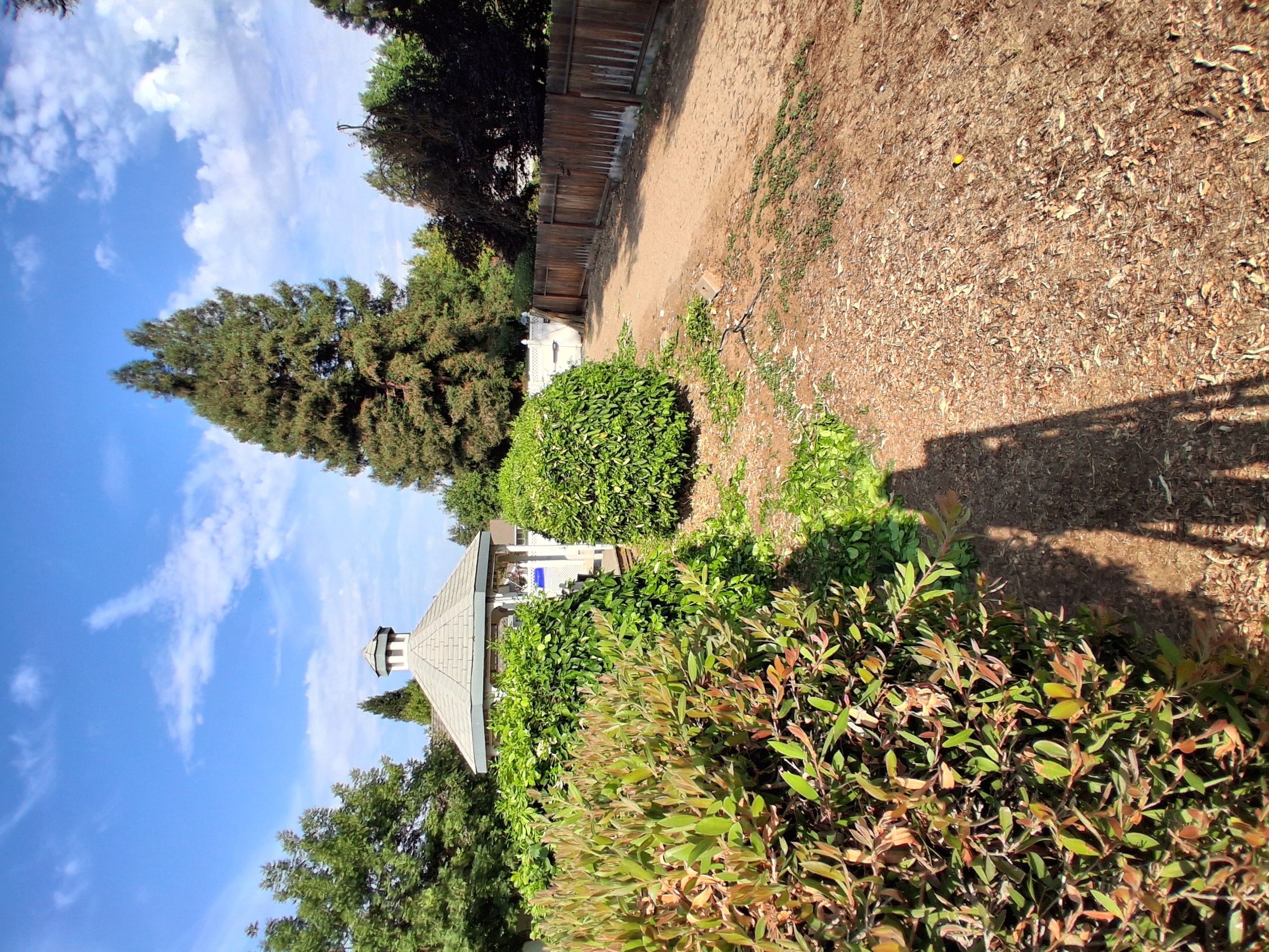 Flores Landscaping Logo