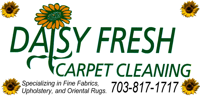 Daisy Fresh Carpet Cleaning Logo