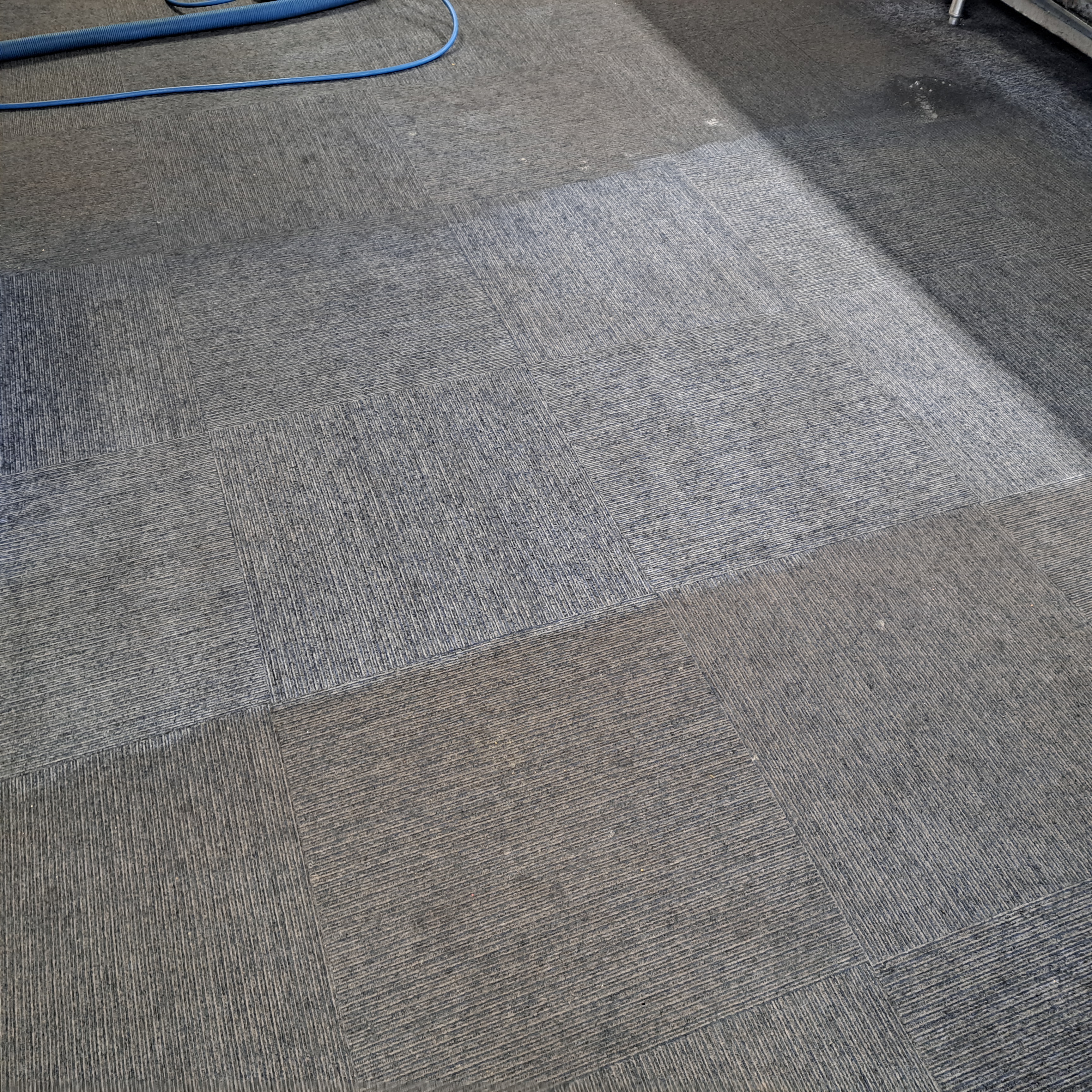 All The Rage Carpet Cleaning Logo