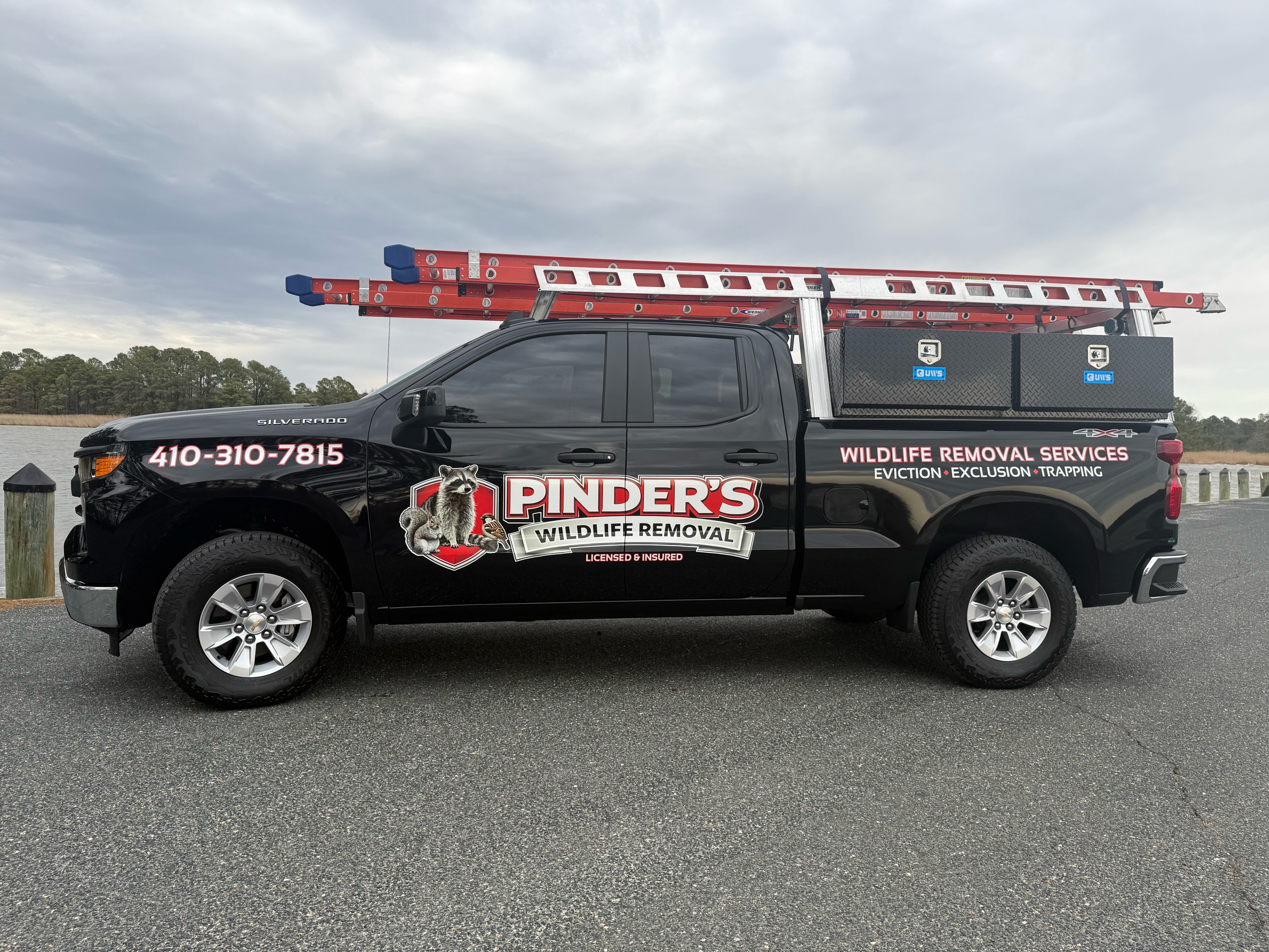 PINDERS WILDLIFE REMOVAL Logo