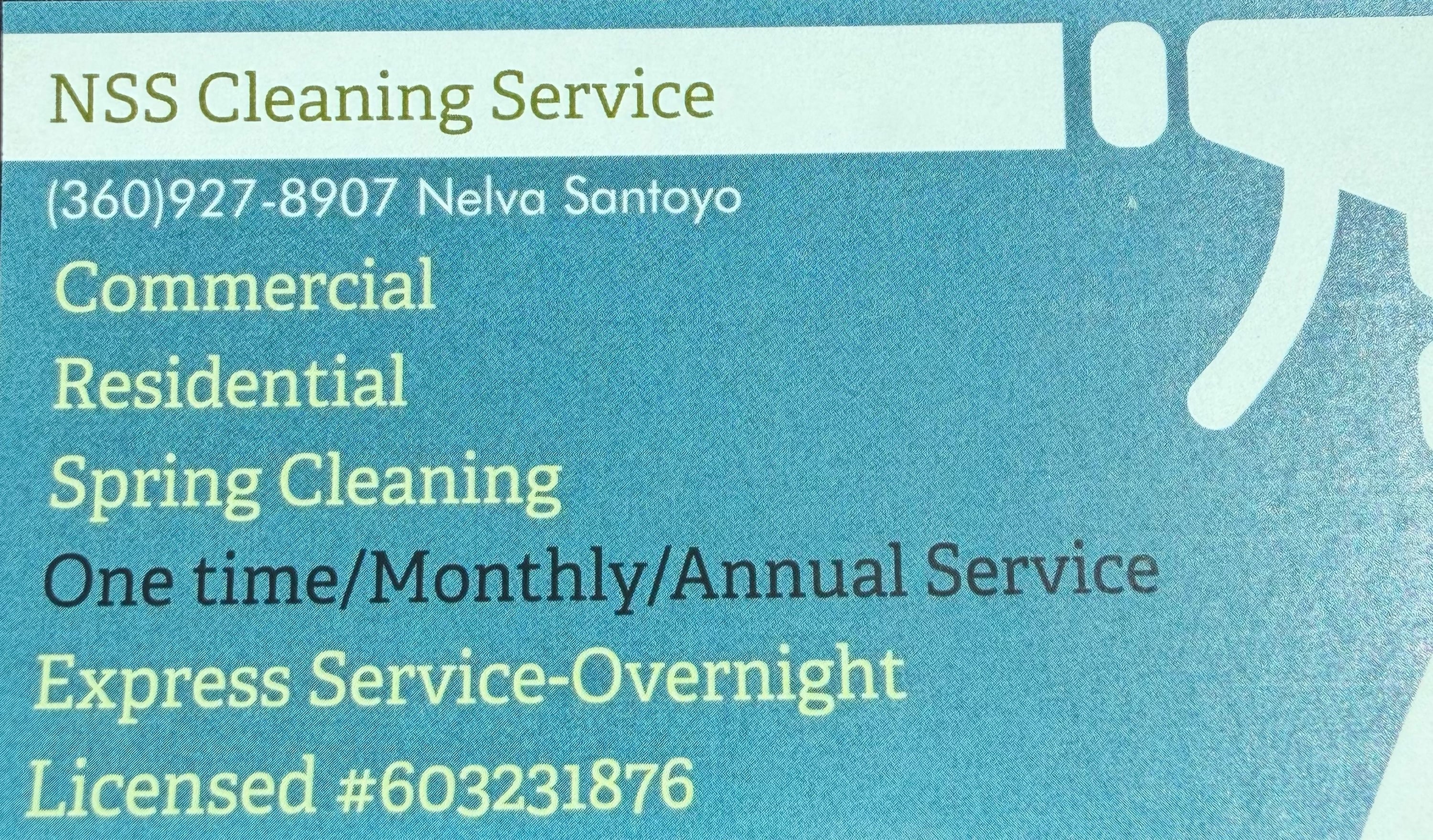 NSS Cleaning Service Logo
