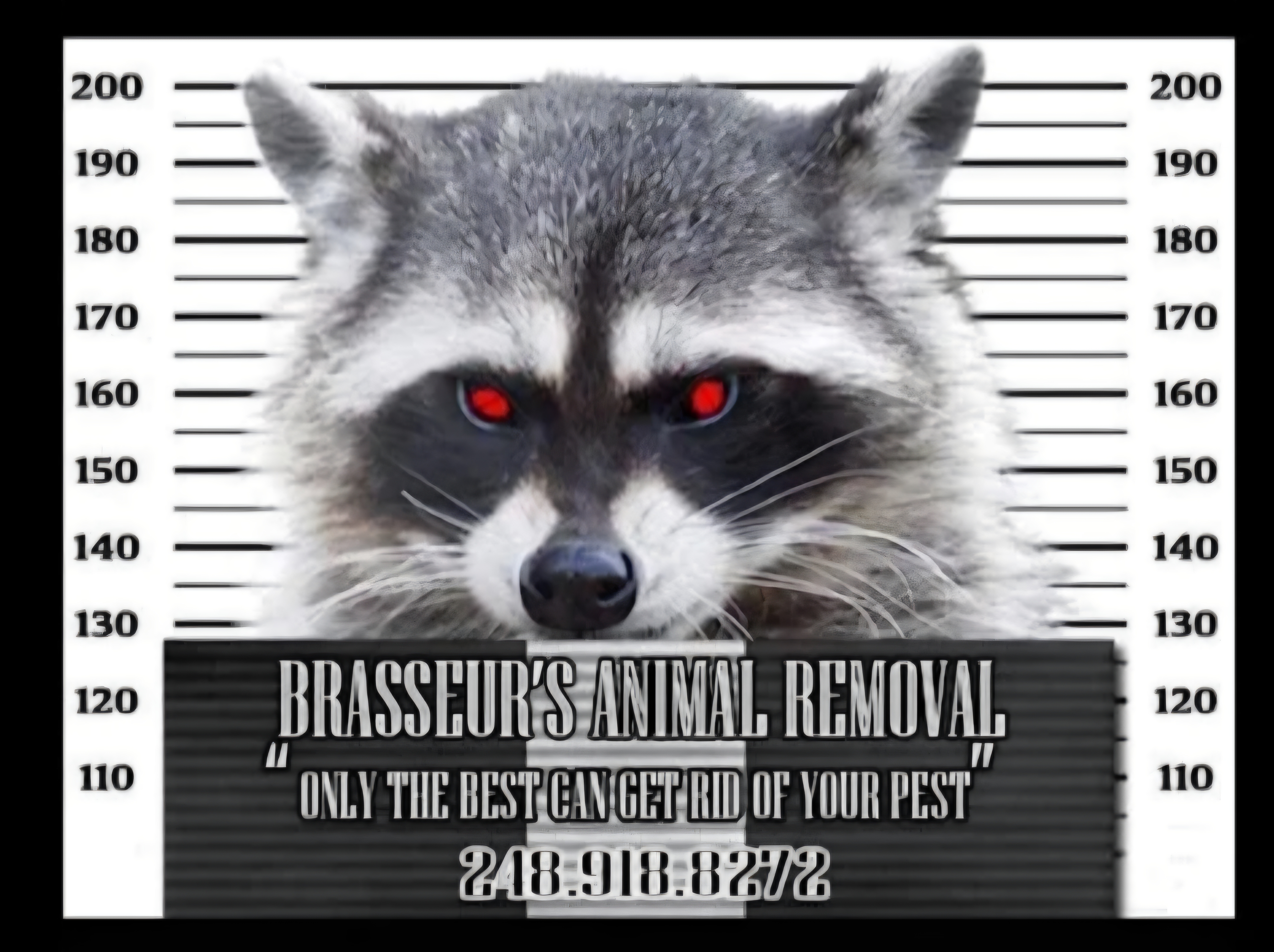 BRASSEUR'S ANIMAL REMOVAL, LLC Logo