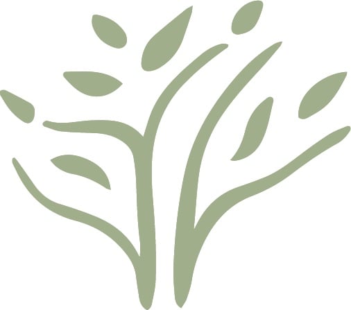 Terra Verde Landscaping LLC Logo
