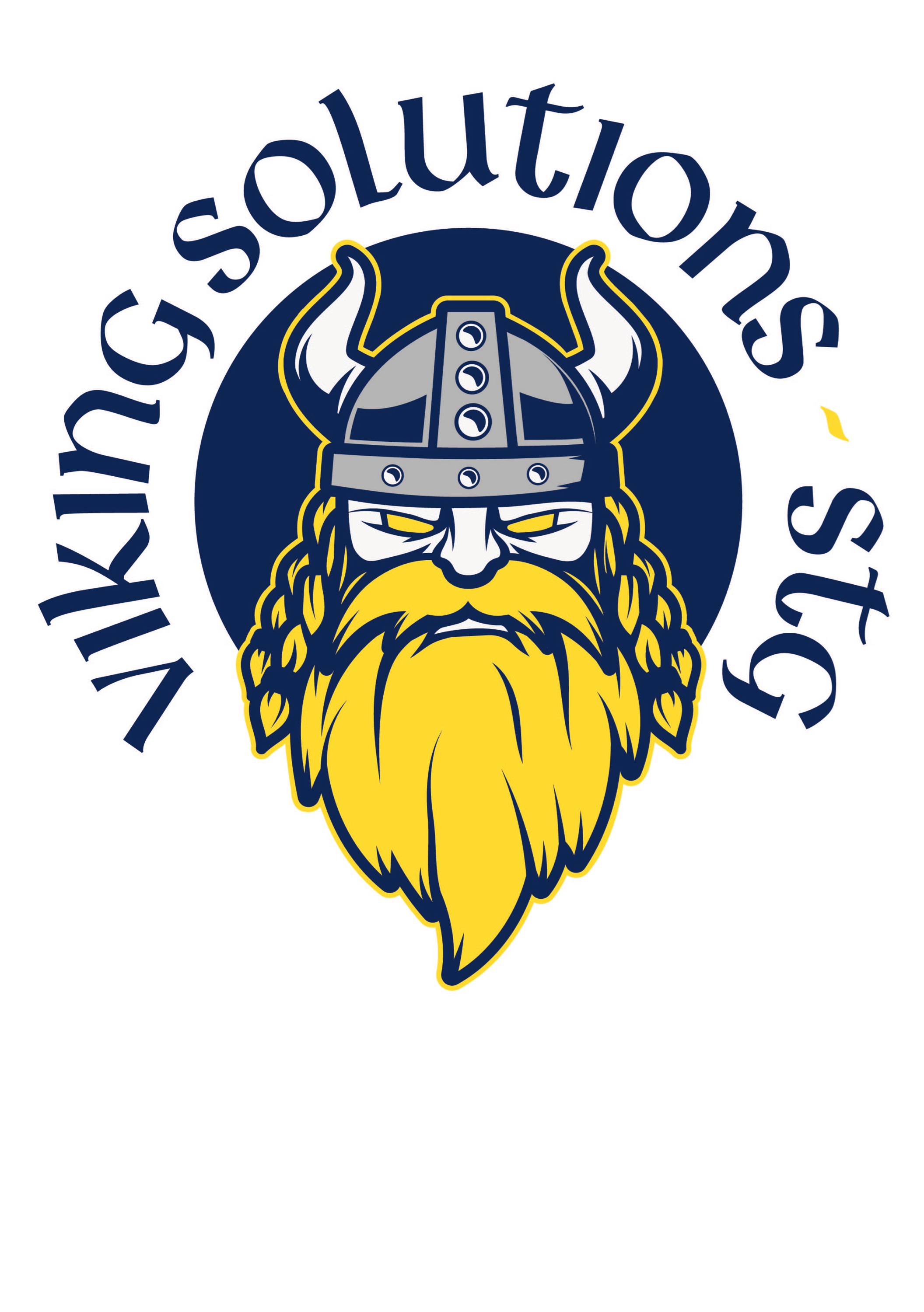 Viking Solutions STG, LLC Logo