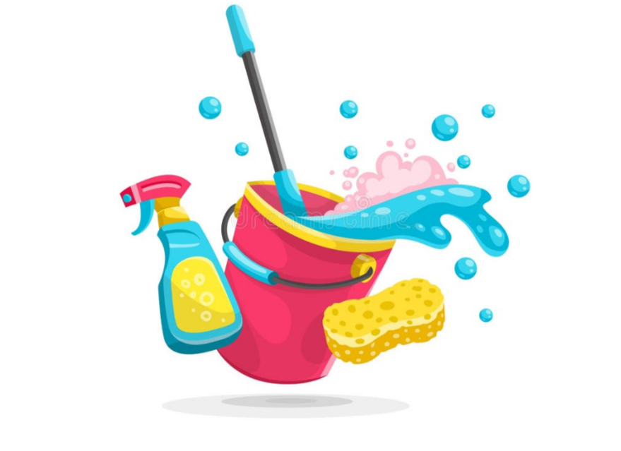 Dust and Shine cleaning Co Logo