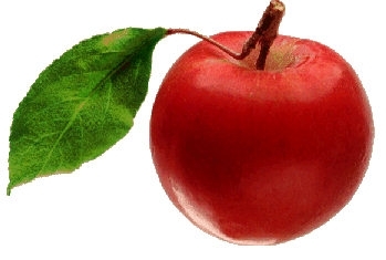 Apple Floor Solutions Logo