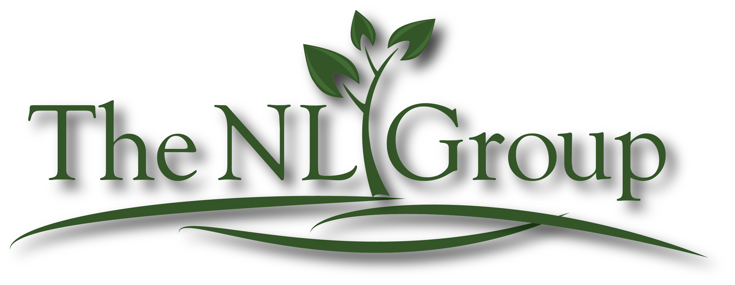 The NL Group Logo