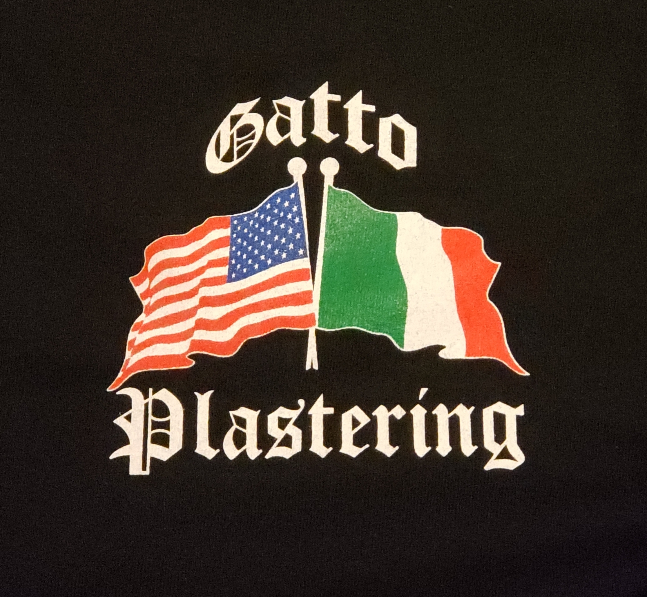 Gatto Plastering Logo