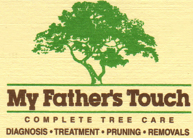 Father's Touch, Inc. Logo