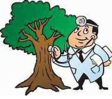 Dr. Tree and Landscape Specialist, Inc. Logo