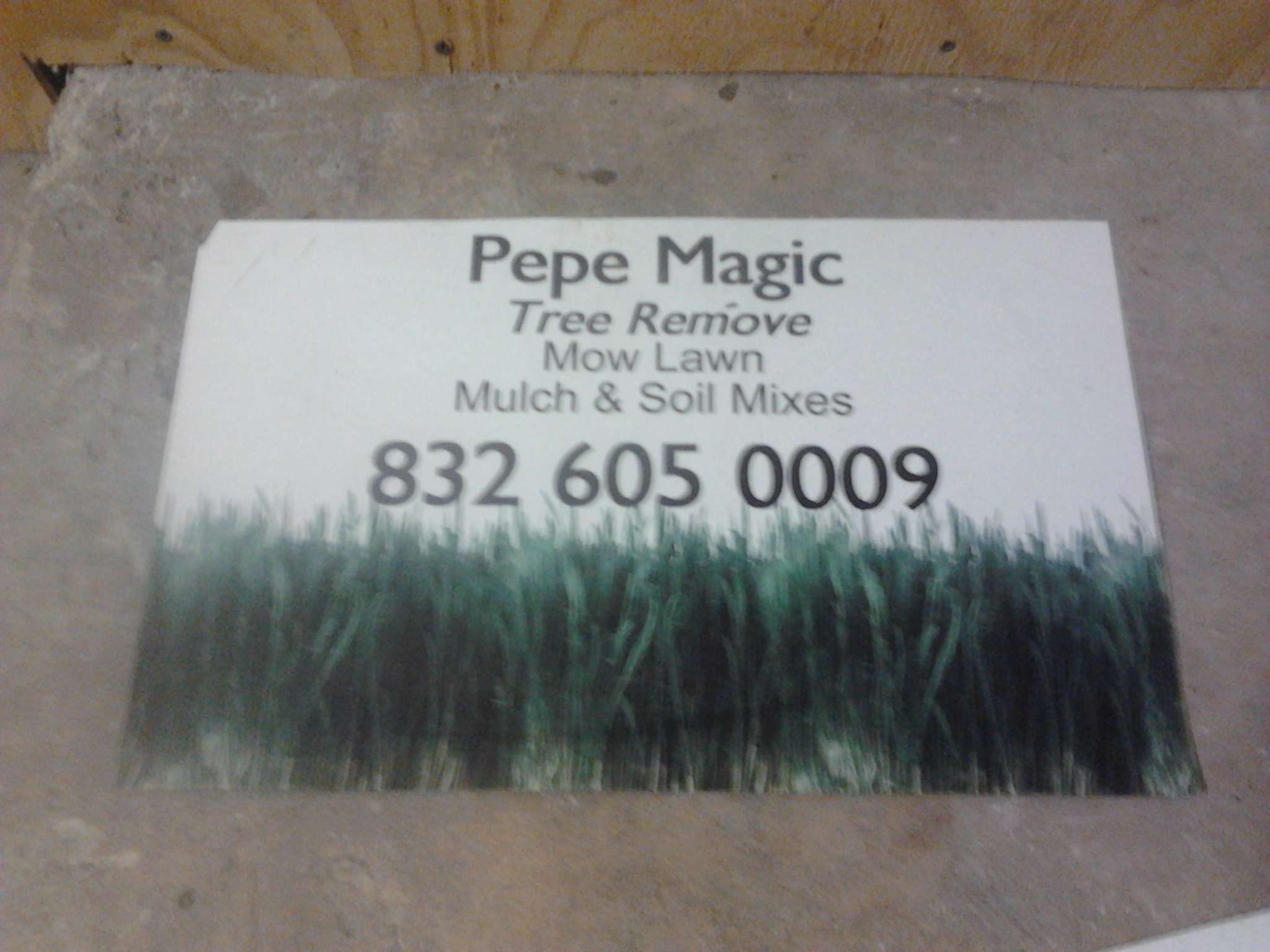 Pepe Magic Logo
