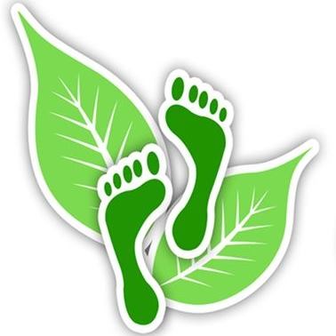 Green Steps Carpet Care Logo