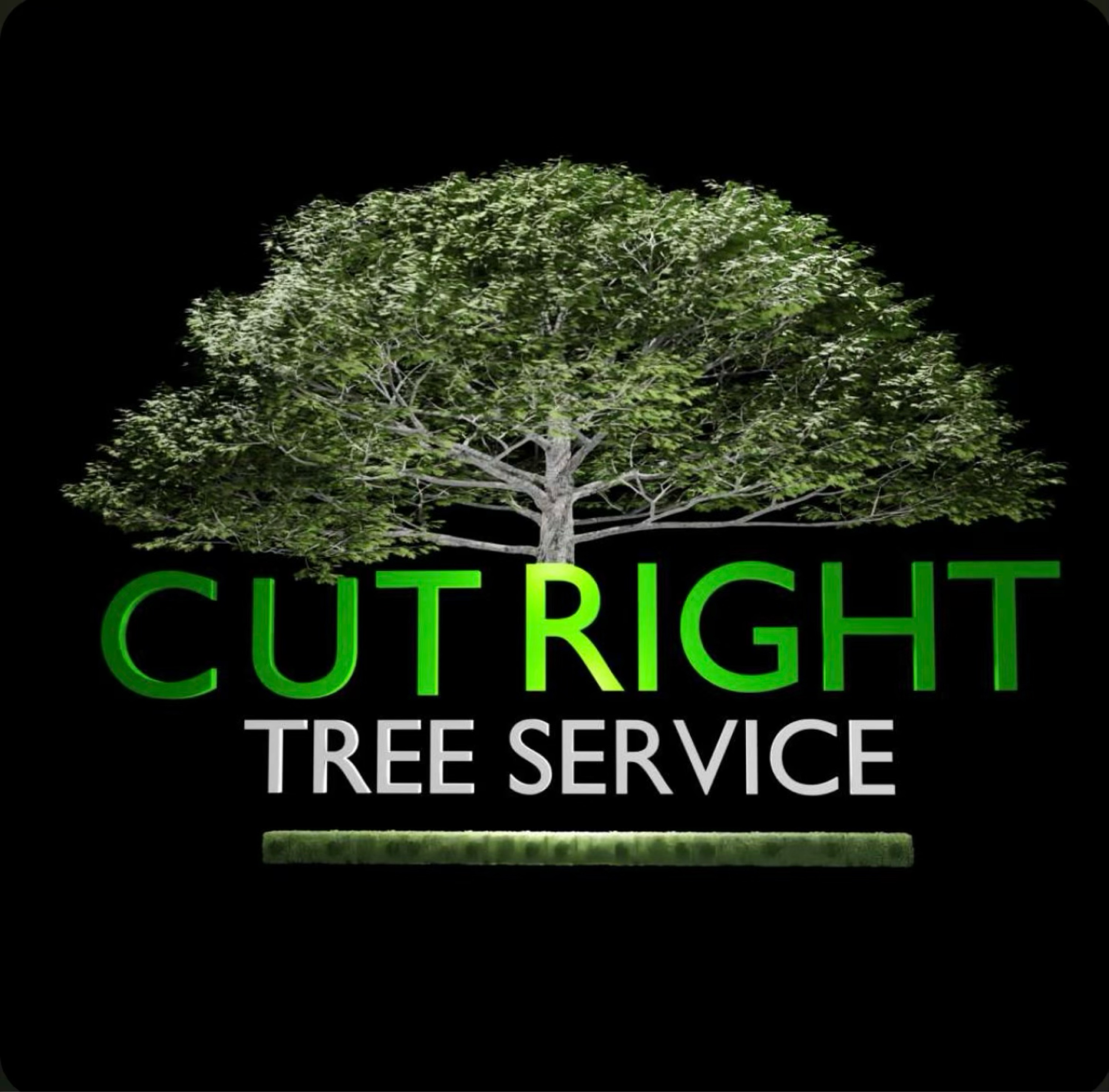 Cut Right Tree Service Inc Logo