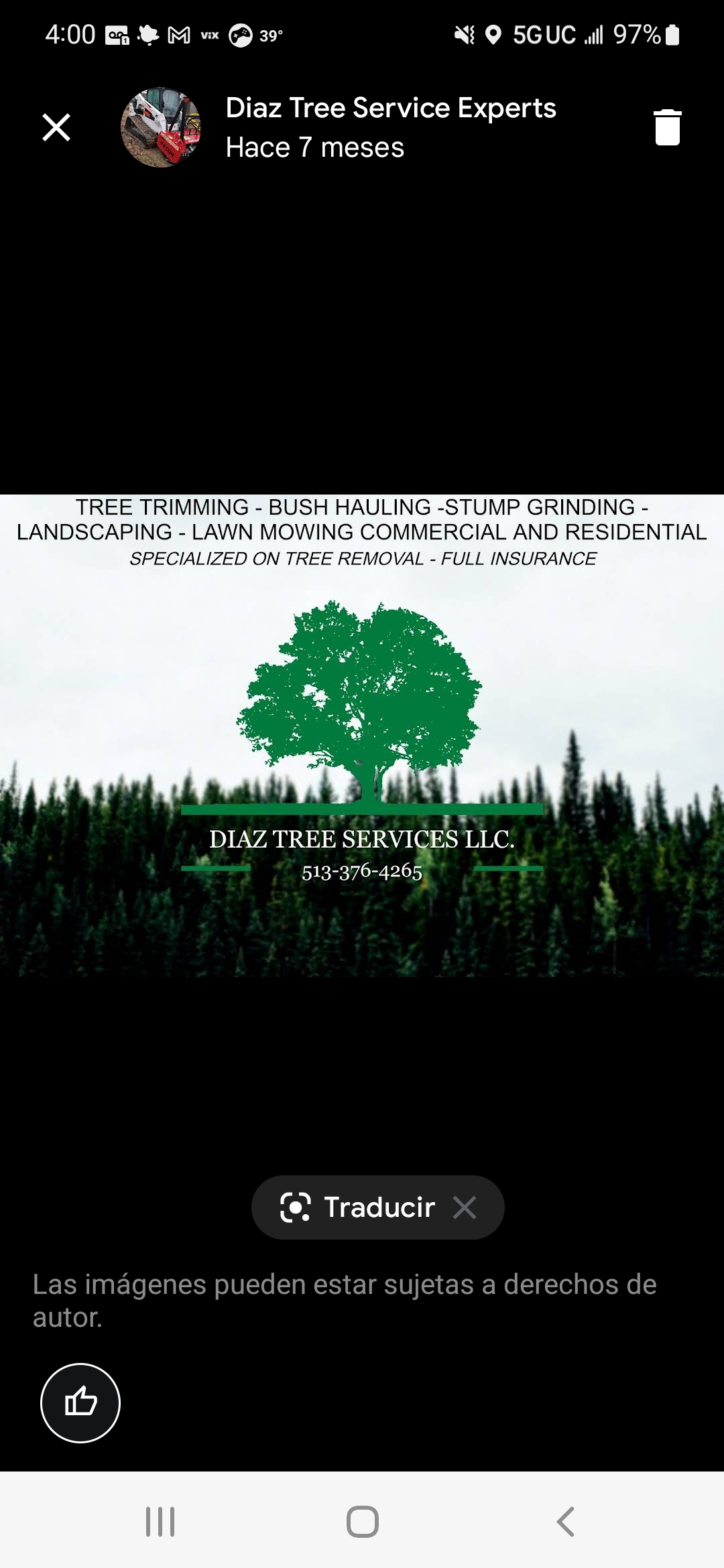Diaz Tree Service Experts, LLC Logo