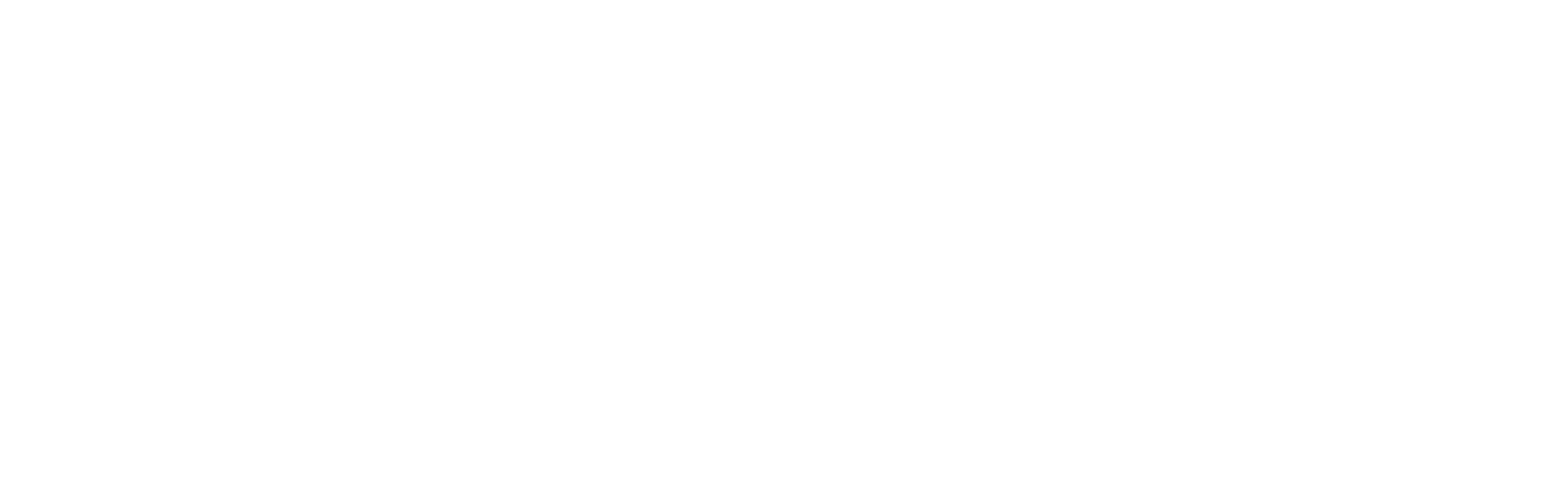 AFM Inspections & Engineering, PLLC Logo