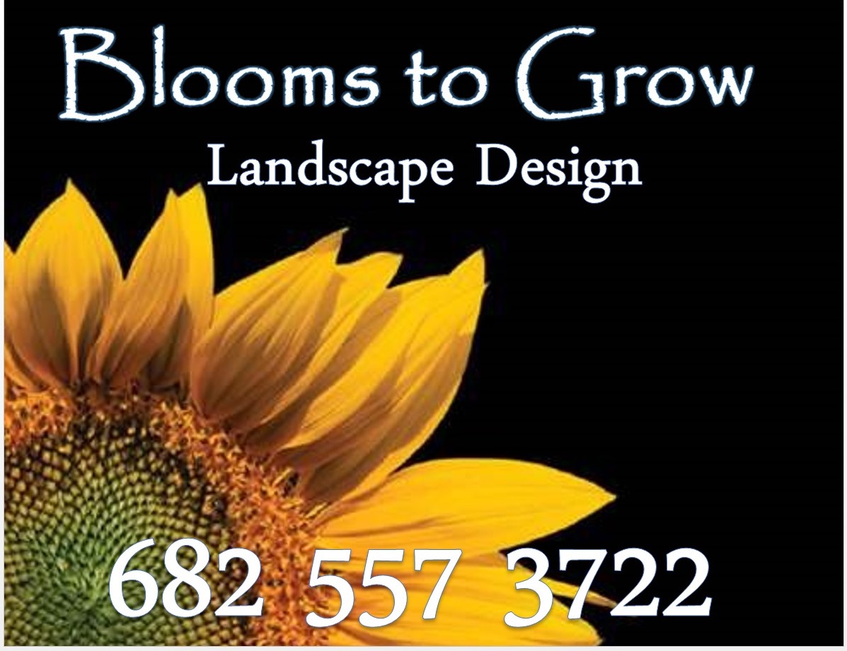 Blooms to Grow Logo