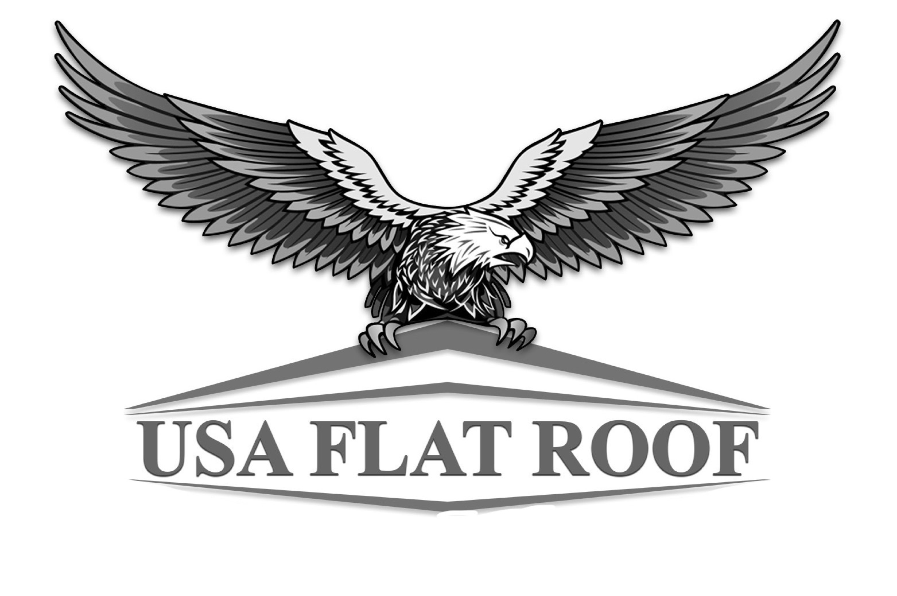 USA Flat Roof Logo