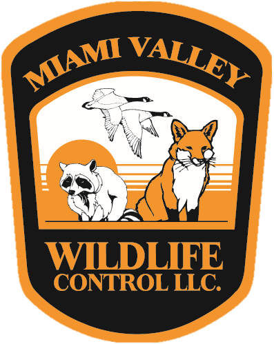 Miami Valley Wildlife Control, LLC Logo