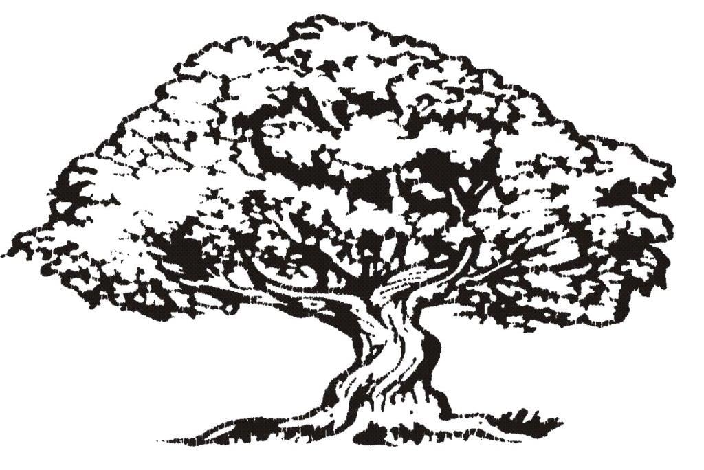 Arborcare Tree Experts, Inc. Logo