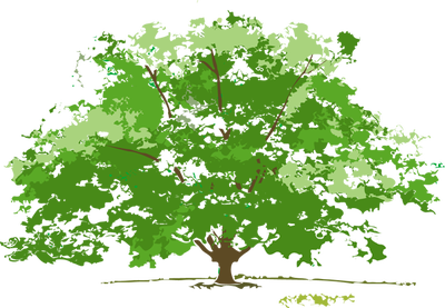 Kiel's Tree Care Logo