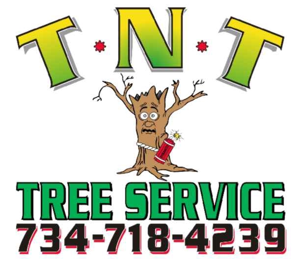 TNT Tree & Stump Logo