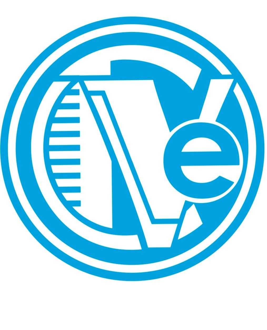 Copper Valley Electric LLC Logo