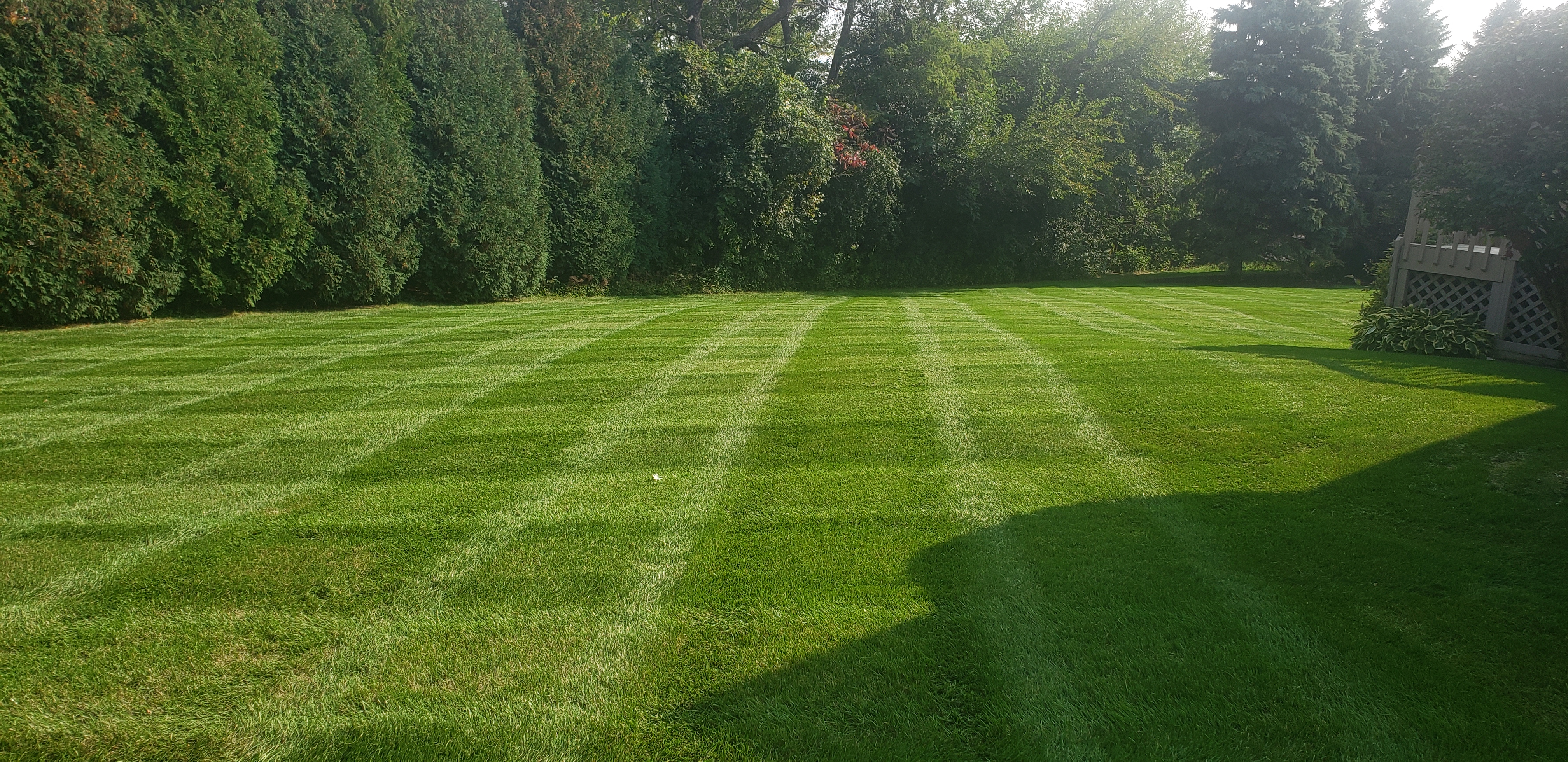 Richardson Lawn Care, LLC Logo