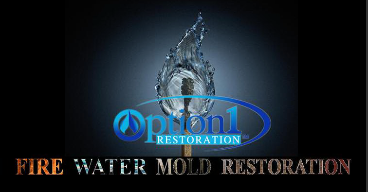 Option1 Restoration, Inc. Logo