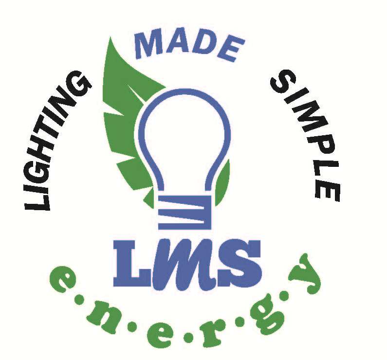 LMS Holding, LLC Logo