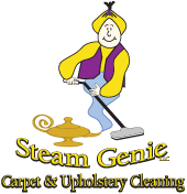 Steam Genie, LLC Logo