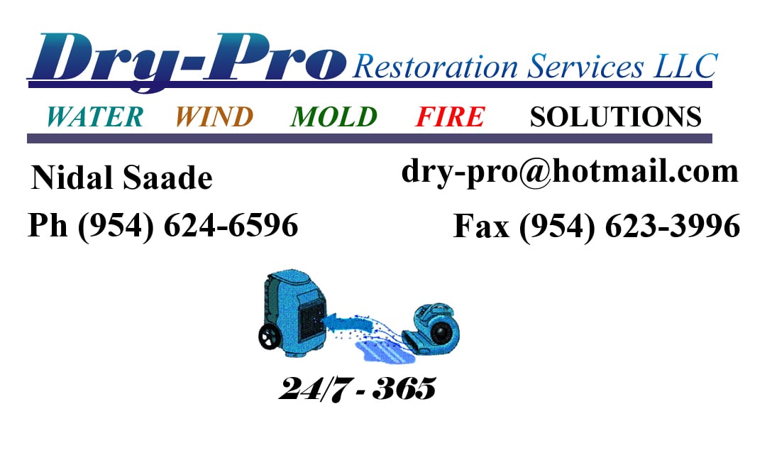 Dry-Pro Restoration Services, LLC Logo