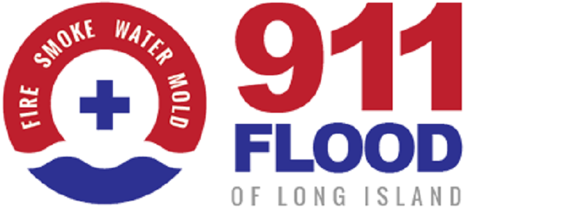 Flag Enterprises Logo