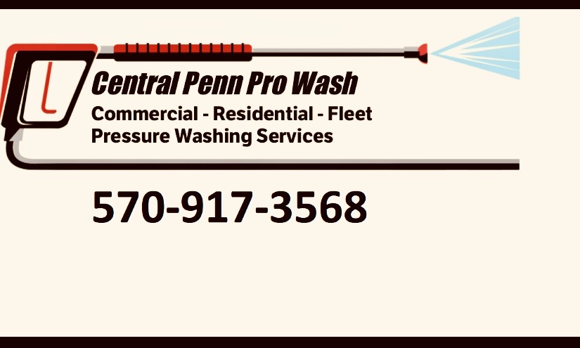 Central Penn Pro Wash Logo