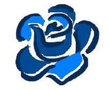 Blue Rose Home Improvements, LLC Logo