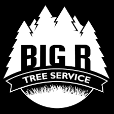 Big R Tree Service, Inc. Logo