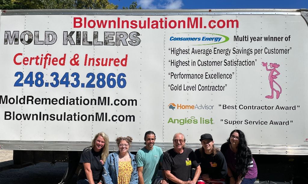 BlownInsulationMI.Com, LLC Logo