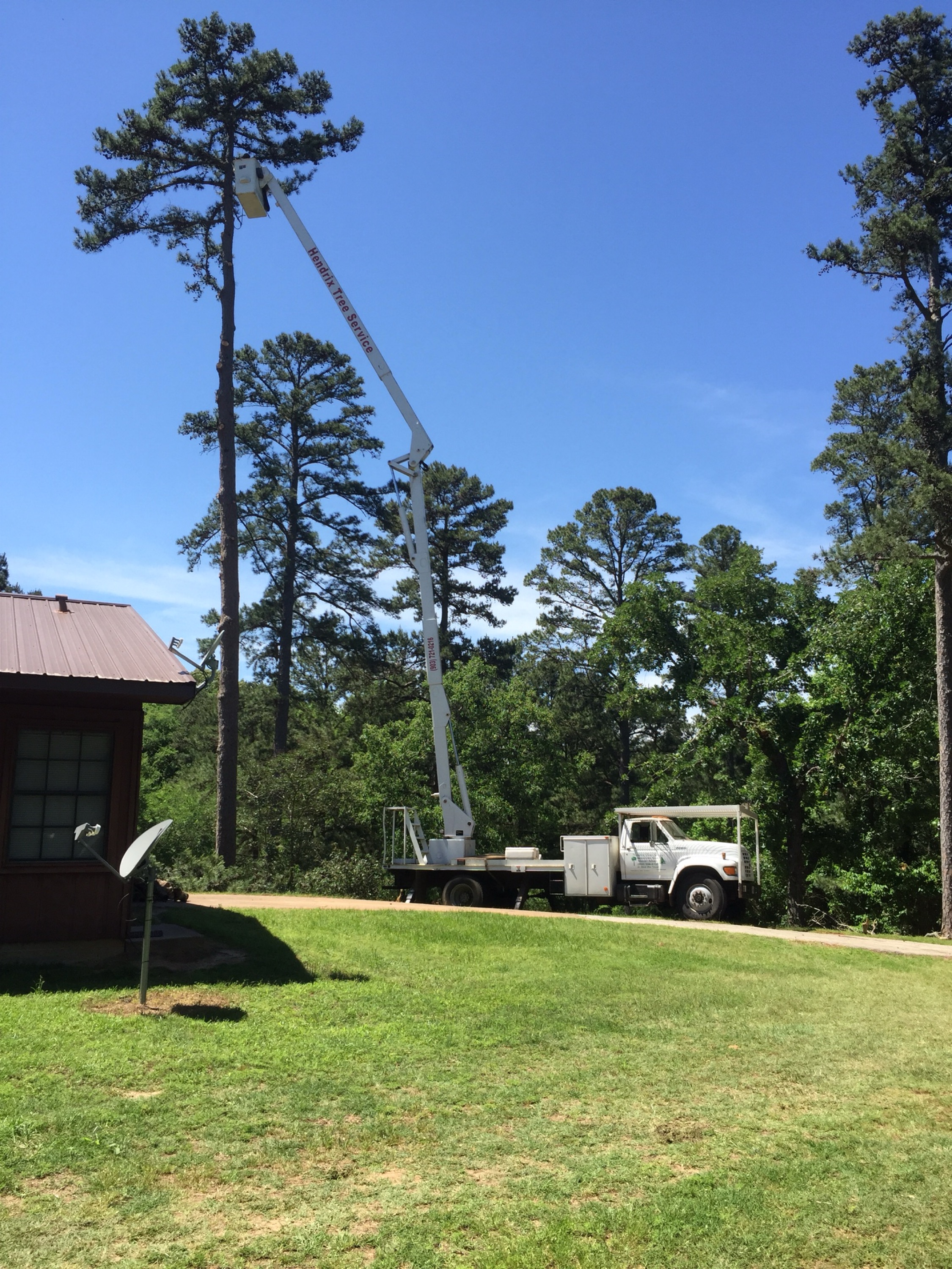 Hendrix Tree Service Logo