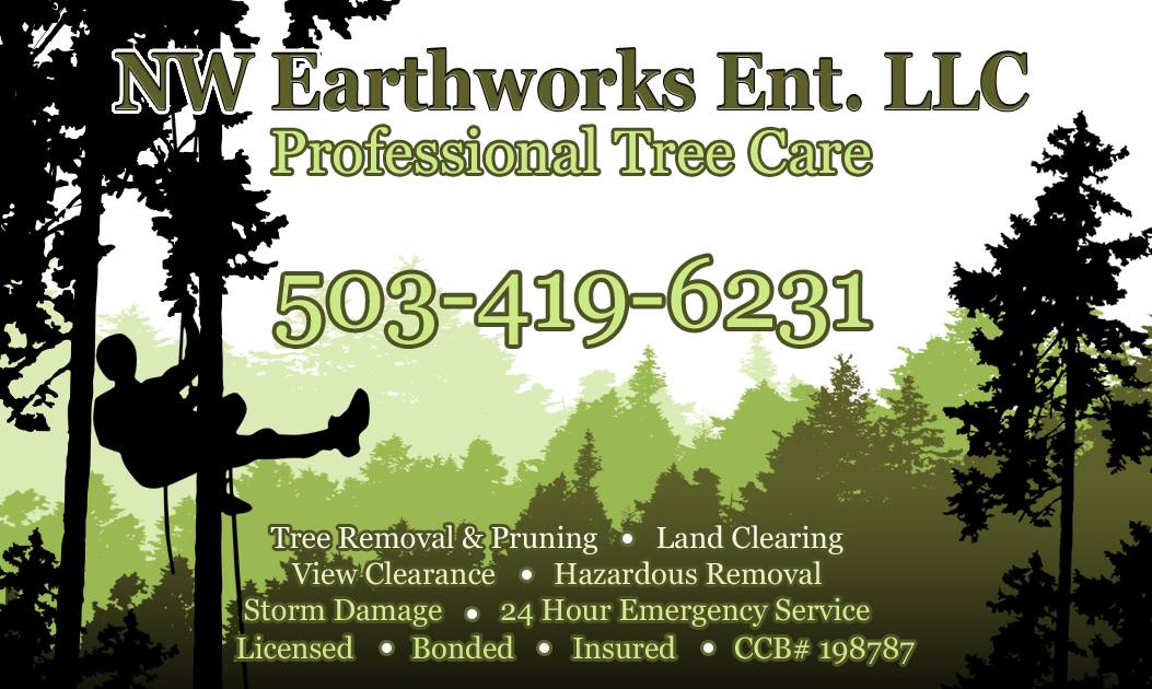 NW Earthworks Enterprise, LLC Logo
