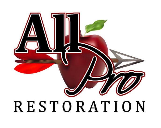 All Pro Restoration Logo