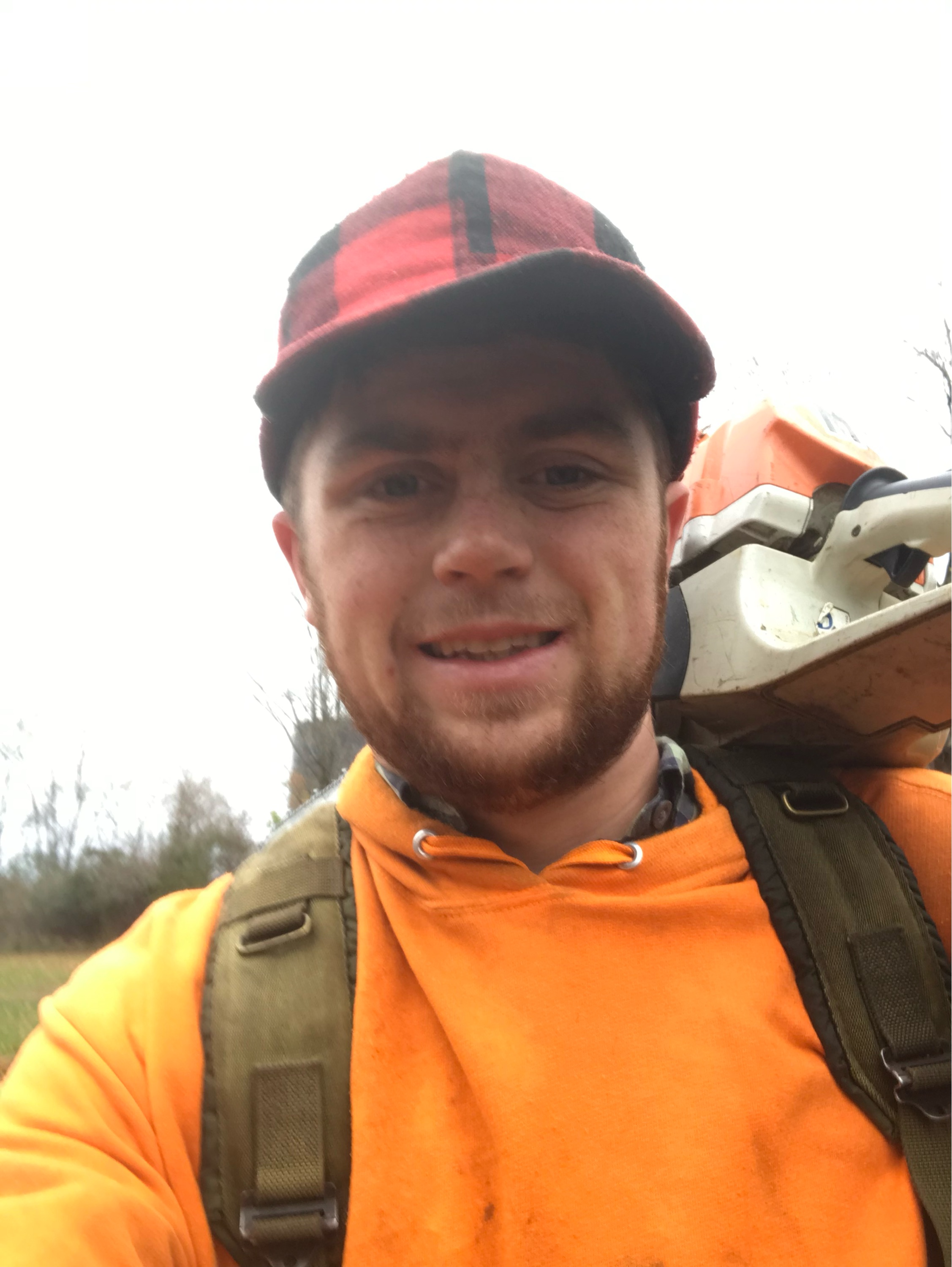 Martin's Tree Removal Logo