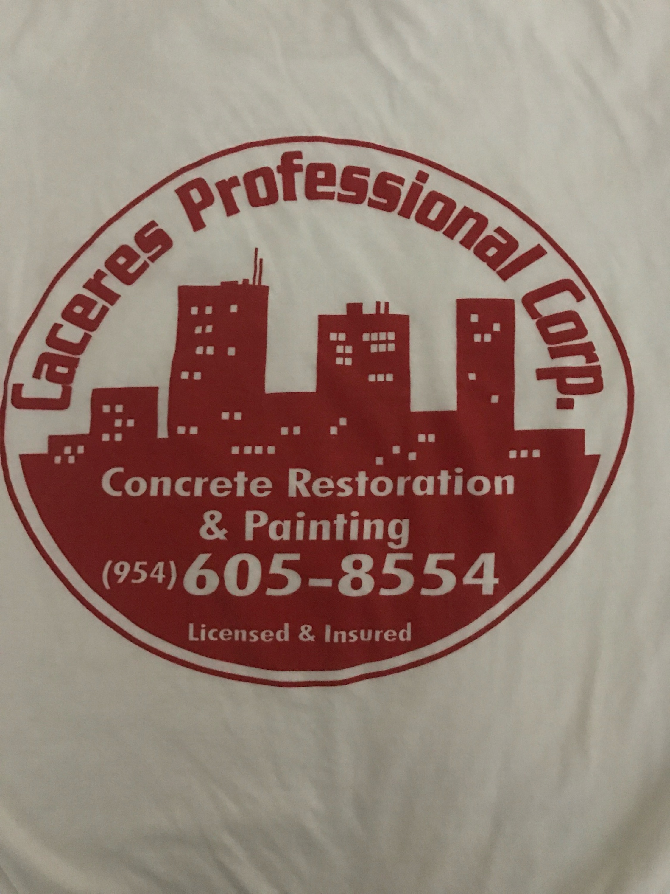 CACERES PROFESSIONAL CORP Logo