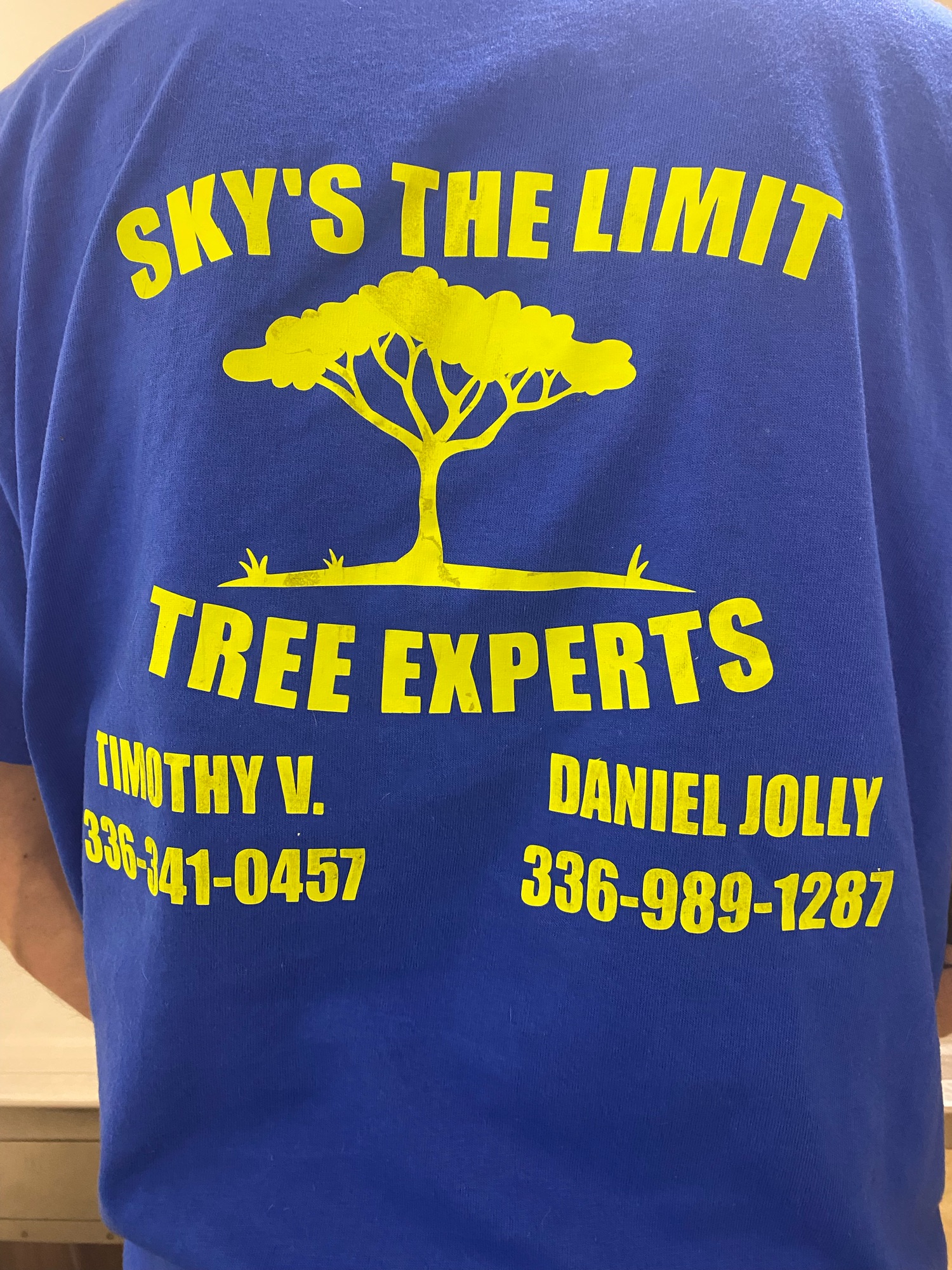 Sky's The Limit Tree Experts Logo
