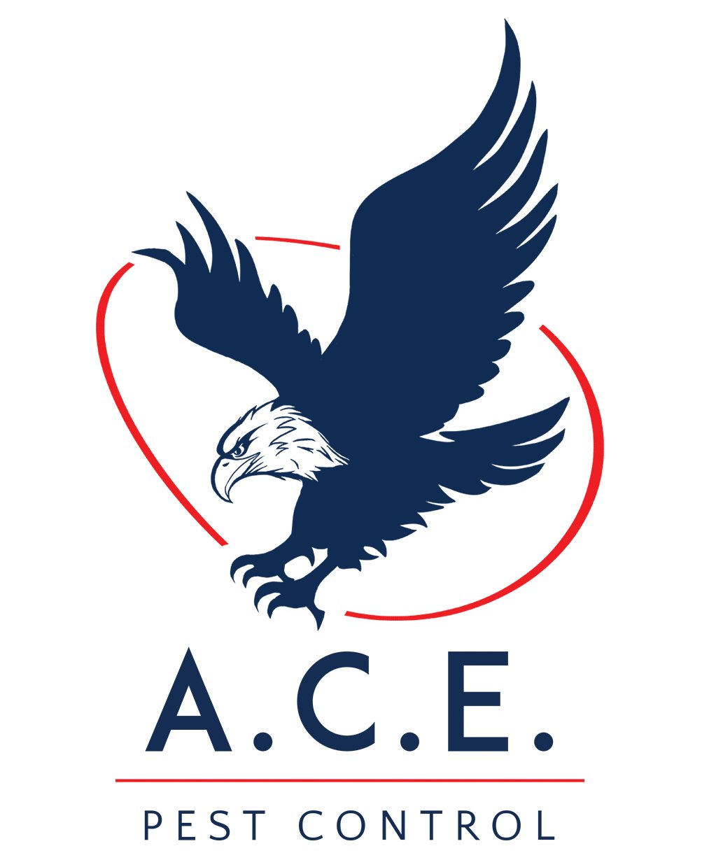 A.C.E., Inc Logo