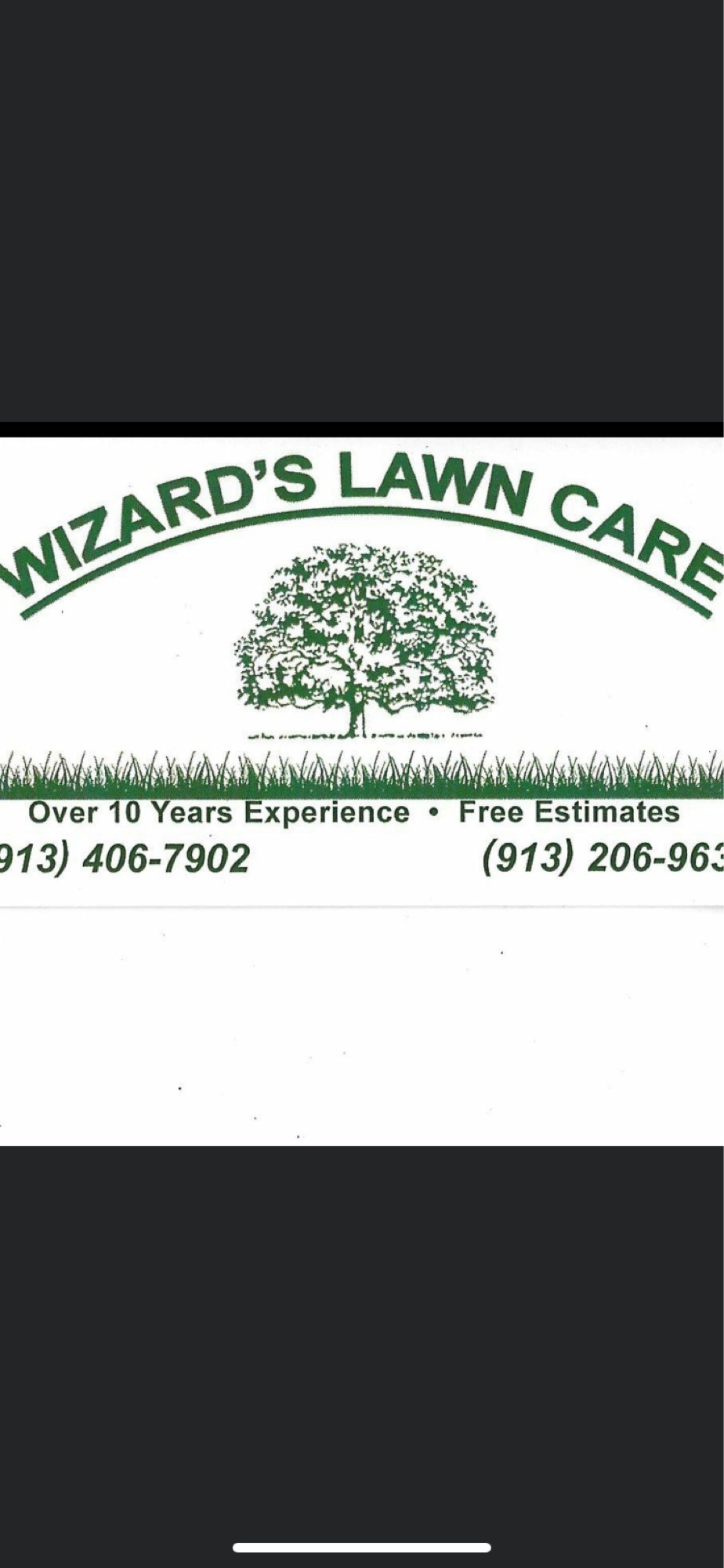 Wizard's Lawn Care Logo