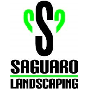 Saguaro Landscaping and Pool Service, LLC Logo